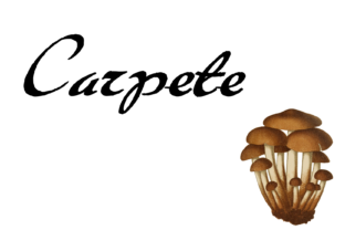 Carpete Font: A Naive Brush Typeface for Handmade Designs