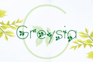 How Greysia Font Transformed My Small Business Branding