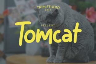 Tomcat Font Review: Playful Display Type for Campaigns